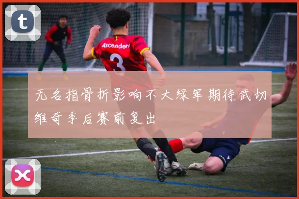 无名指骨折影响不大绿军期待武切维奇季后赛前复出